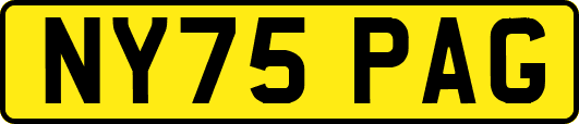 NY75PAG