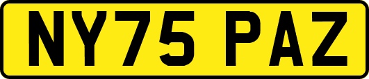NY75PAZ