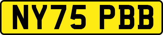 NY75PBB