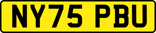 NY75PBU