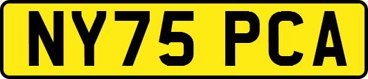 NY75PCA
