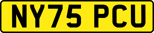 NY75PCU