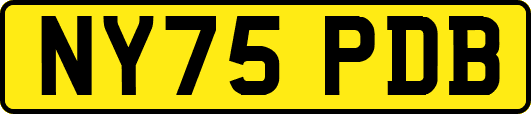 NY75PDB