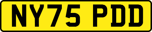 NY75PDD