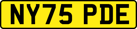 NY75PDE