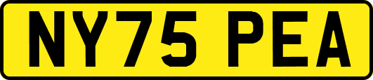 NY75PEA