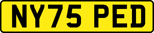 NY75PED
