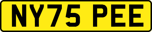 NY75PEE