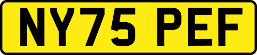 NY75PEF