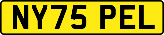 NY75PEL