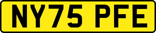 NY75PFE