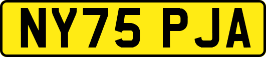 NY75PJA
