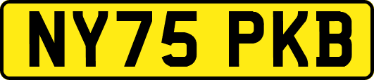 NY75PKB