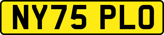 NY75PLO
