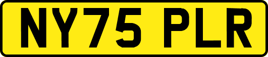 NY75PLR