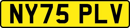 NY75PLV