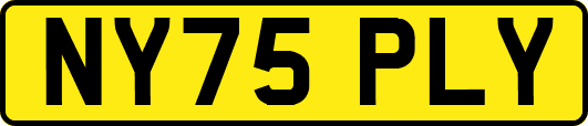 NY75PLY