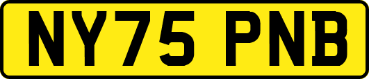 NY75PNB