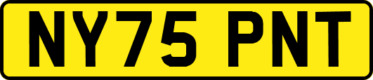 NY75PNT
