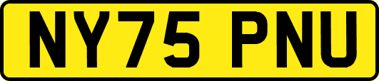 NY75PNU