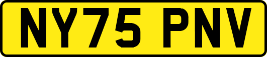 NY75PNV