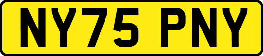 NY75PNY