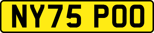 NY75POO