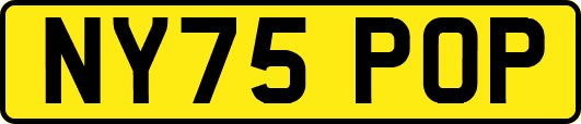 NY75POP