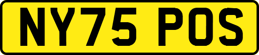 NY75POS