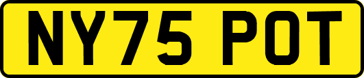 NY75POT