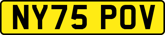 NY75POV