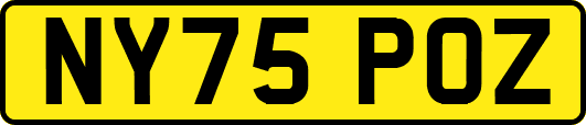 NY75POZ