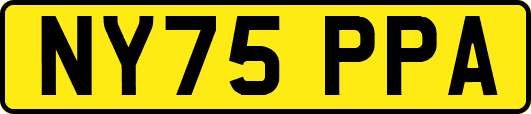 NY75PPA