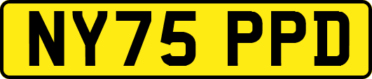 NY75PPD