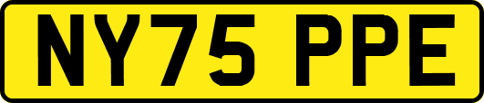 NY75PPE