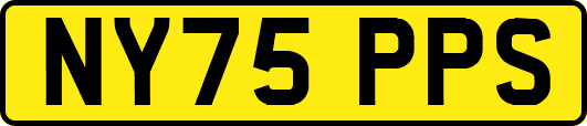 NY75PPS