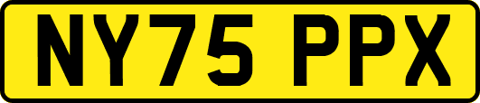 NY75PPX