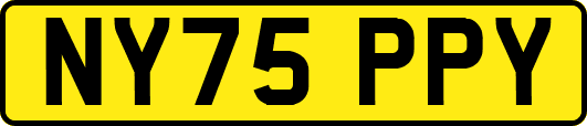 NY75PPY