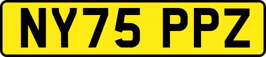 NY75PPZ