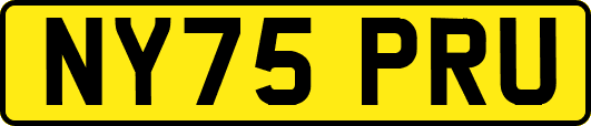 NY75PRU