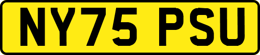 NY75PSU