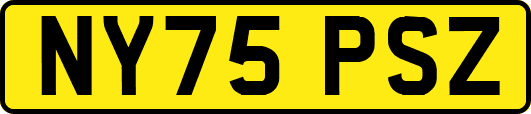 NY75PSZ