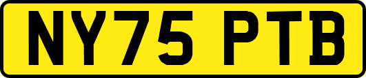 NY75PTB