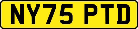 NY75PTD