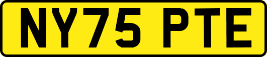 NY75PTE