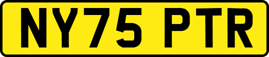 NY75PTR