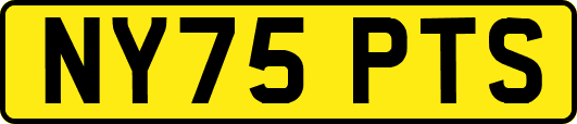 NY75PTS