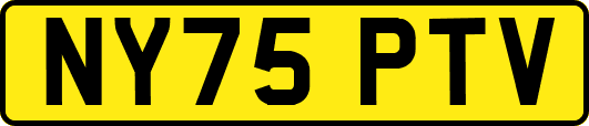 NY75PTV