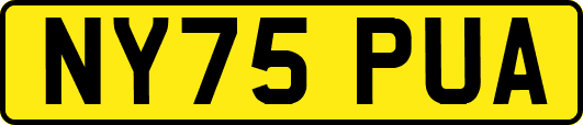 NY75PUA