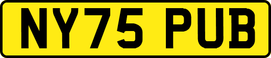 NY75PUB